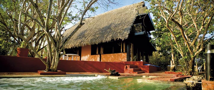 Fotos archivo EL HERALDO